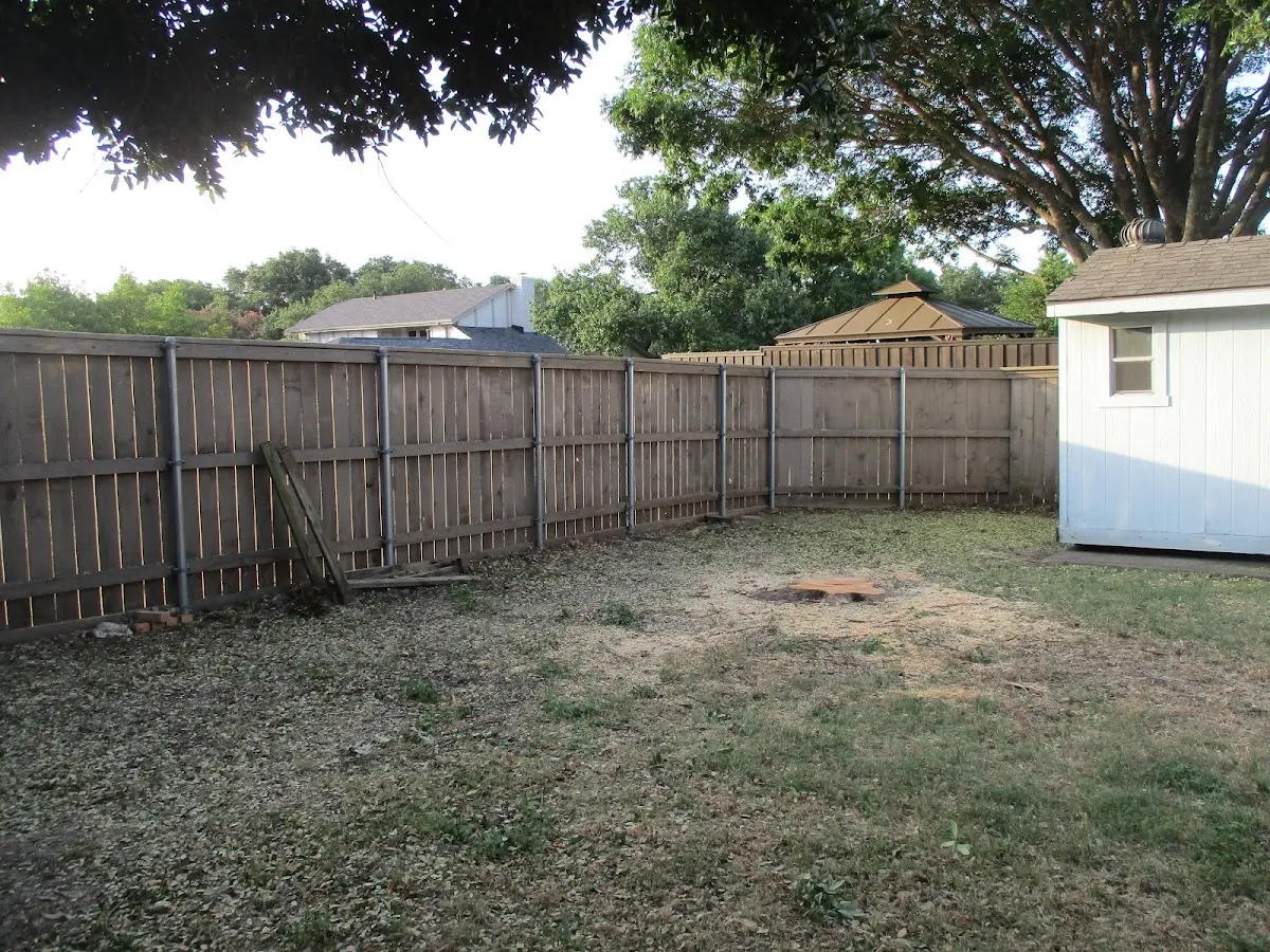 Cleared yard after professional tree removal in Adair